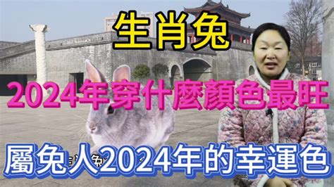 2024屬兔幸運色 大三元意思